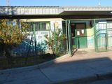 La maestra fue denunciada por padres de la Escuela Primaria Nº 201 de Trelew, en Chubut.