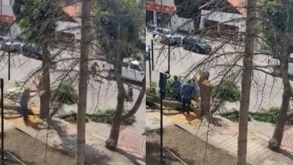Cortaba un árbol sin autorización en Zapala y se le cayó encima