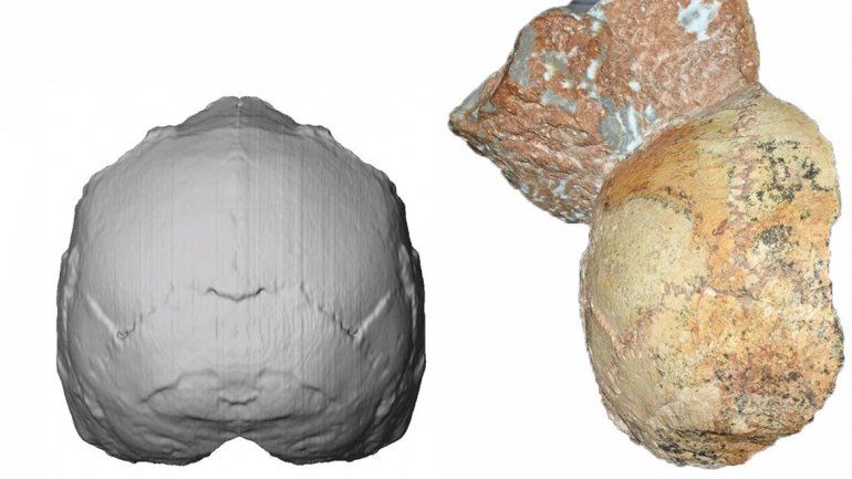 Descubrieron el fósil humano más antiguo fuera de África