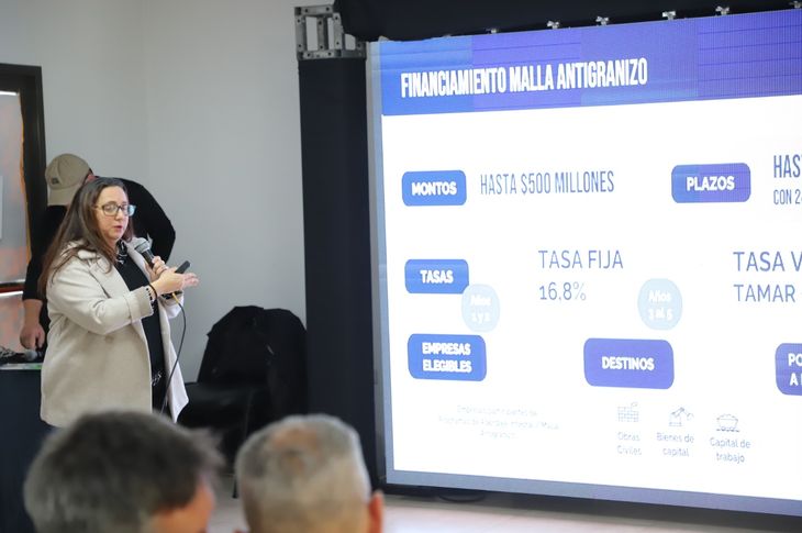Los cr&eacute;ditos otorgan hasta 500 millones de pesos por establecimiento con el fin de proteger la fruta frente a eventos clim&aacute;ticos severos.