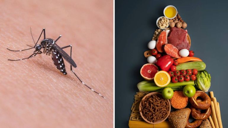 Entre los alimentos recomendados para el que padece dengue se encuentran la carne roja y vísceras, las leguminosas, los vegetales de hojas verdes y los frutos secos. Foto: LMN.