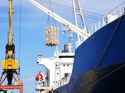 Las exportaciones por el puerto riongerino, no se recuperan. Las exportaciones por el puerto riongerino, no se recuperan.