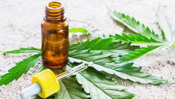 El cannabis para uso medicinal va por otro debate en Neuquén