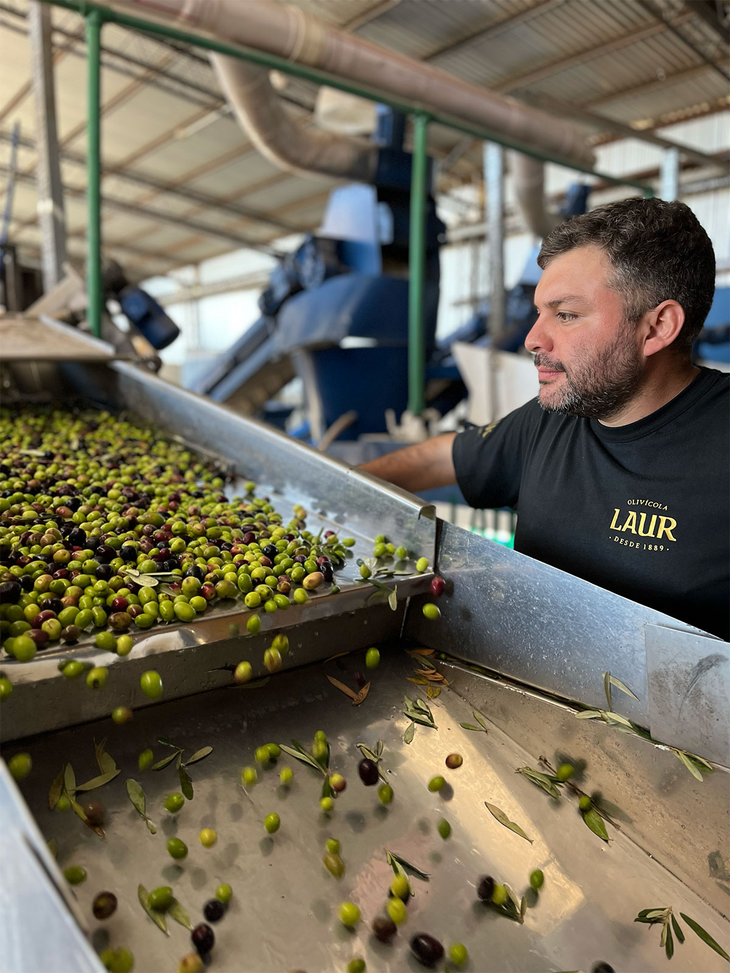 Carlos Saez, gerente general de Olivícola Laur. Foto: laur.ar Carlos Saez, gerente general de Olivícola Laur. Foto: laur.ar