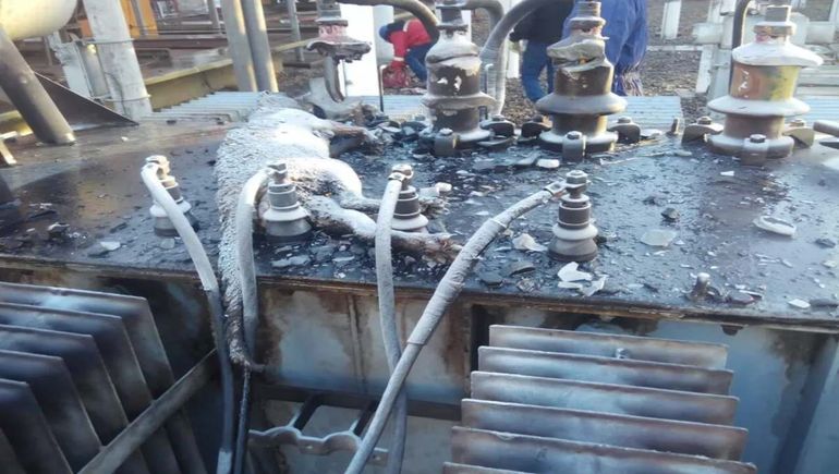 Hace años había pasado algo similar en Roca -foto- Hace años había pasado algo similar en Roca -foto-