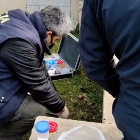 Insólito: encontró un pene adentro de un frasco mientras cortaba el pasto