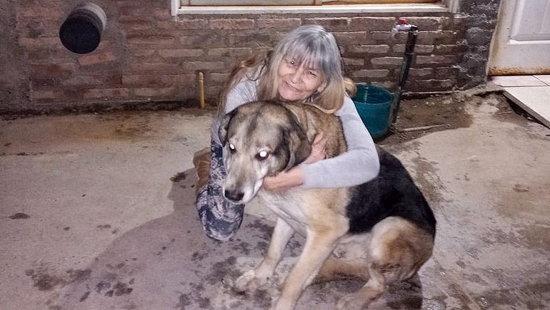 Final feliz: recuperaron el perro que se habían llevado los ladrones