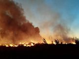Dos incendios se registraron durante el fin de semana en el Valle Medio. Los contuvieron el personal del SPLIF.