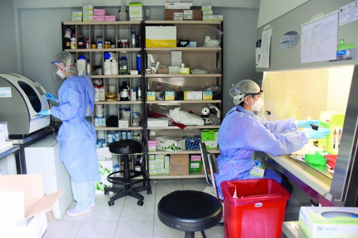 El coronavirus ya generó más de 4100 muertes en el país.