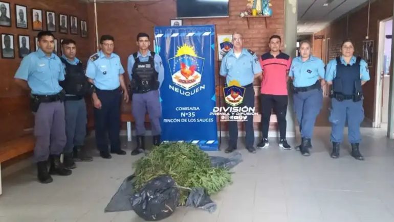 La Policía fue en busca de un violento y dio con 12 plantas de marihuana