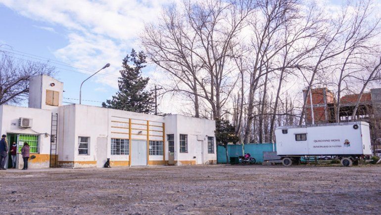 Plottier: volvieron las castraciones para perros y gatos