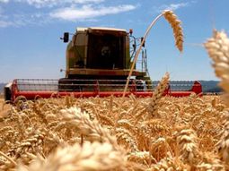 Estudian medidas para evitar cesaciones de pago. Estudian medidas para evitar cesaciones de pago.