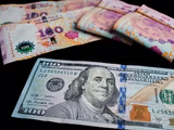 El dólar terminó siendo una buena inversión en enero.