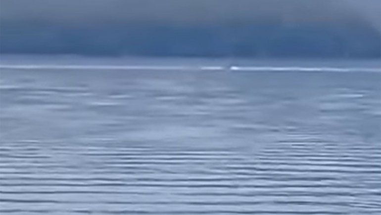 ¿Es el Nahuelito? Una extraña figura fue vista en el Nahuel Huapi