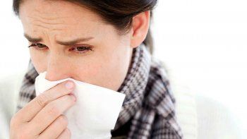 Gripes y resfríos: las comidas recomendadas para cuidar la salud con el frío Gripes y resfríos: las comidas recomendadas para cuidar la salud con el frío