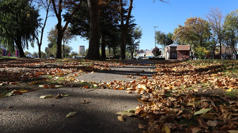 El clima otoñal ya rige con todo. | LM Neuquen El clima otoñal ya rige con todo.