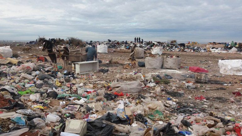 En el basural