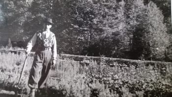 Don Carrillo, una vida dedicada a la forestación. Foto: gentileza