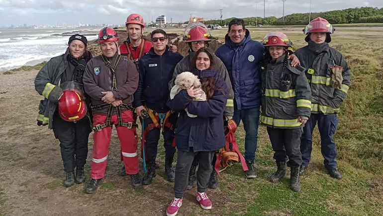 Un perro cayó 25 metros desde un acantilado y sobrevivió