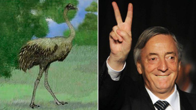 Descubren una nueva especie de ñandú y la llaman Kirchner