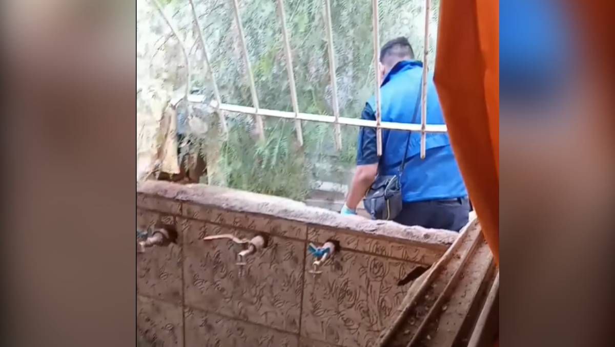 Los delincuentes violentaron las rejas e ingresaron por una ventana.