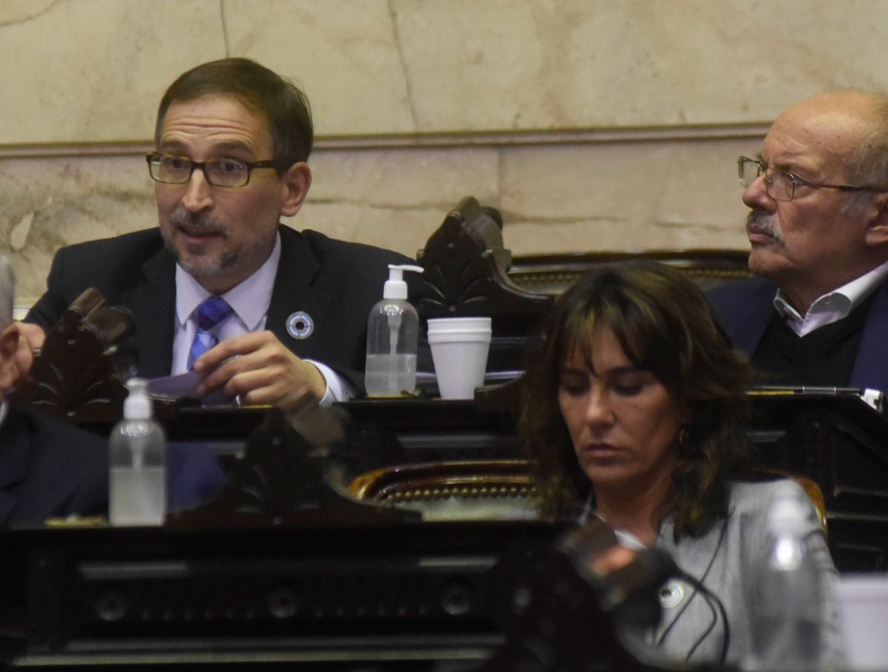 Diputados de Río Negro presentaron un proyecto para derogar las PASO