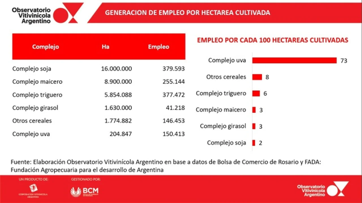 Radiografía del empleo en el sector. Fuente: Observatorio Vitivinícola Argentino. Radiografía del empleo en el sector. Fuente: Observatorio Vitivinícola Argentino.