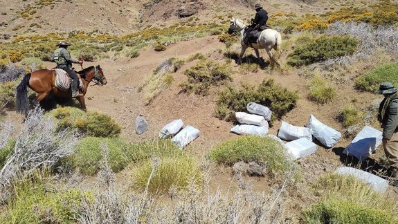 Millonario hallazgo en Neuquén