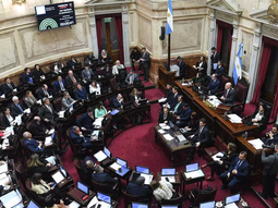 El Senado convirtió en ley la baja en la imputabilidad. El Senado convirtió en ley la baja en la imputabilidad.