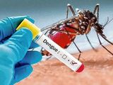 El brote de dengue se extiende por todo el país. Es importante conocer algunos aspectos.