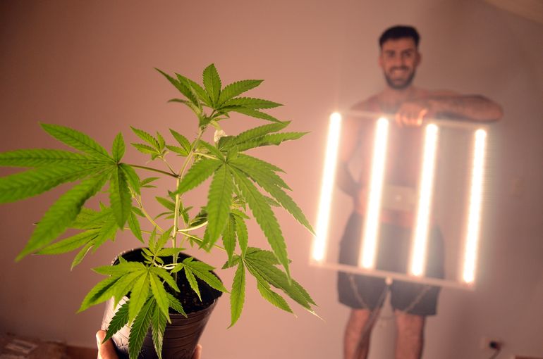El neuquino Cristia Jofré es informático y creó lámparas para cultivar marihuana medicinal. El neuquino Cristia Jofré es informático y creó lámparas para cultivar marihuana medicinal.
