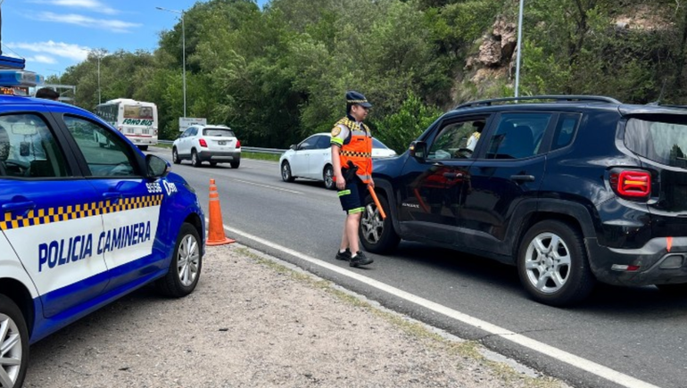 Insólito: los paró la Policía y recibieron una multa por tener bichos en su patente