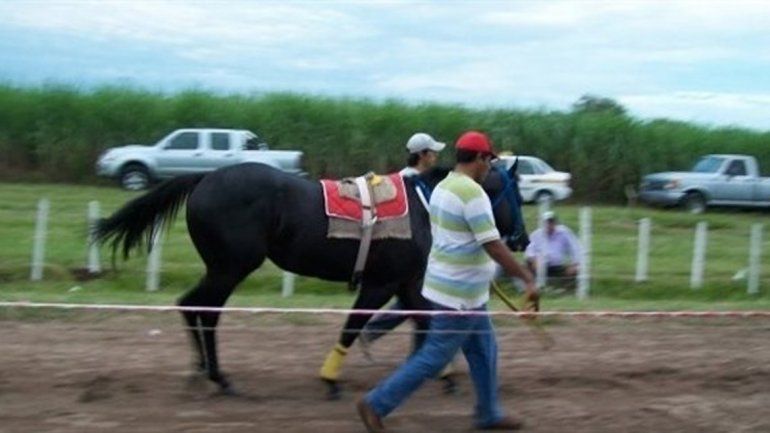 Aunque todavía no se realizó la autopsia
