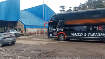 colectivo pino hachado varados