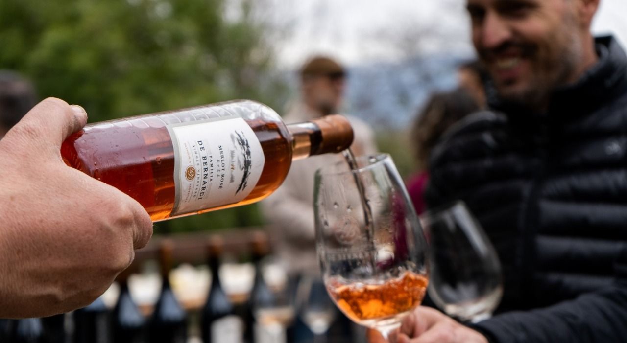 Río Negro celebra el enoturismo: 12 bodegas abren tranqueras para visitas, degustaciones y aprender del vino desde adentro.