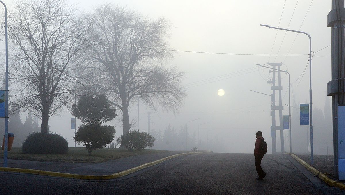 Neuquén amaneció cubierta de niebla: qué pasa con los vuelos