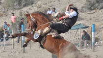 fiesta gaucha: destrezas y adrenalina en las jineteadas de portada covunco