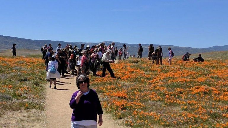 Una ciudad calificó de insoportable la invasión de turistas