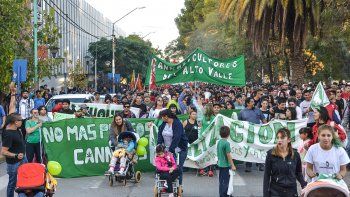 Marcha por la marihuana en Neuquén: dónde es y qué reclaman | LM Neuquen Marcha por la marihuana en Neuquén: dónde es y qué reclaman