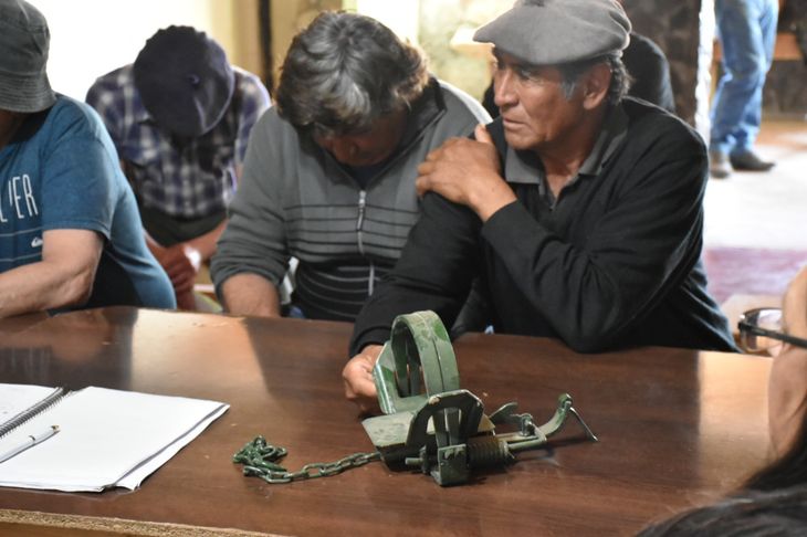 Así son las trampas para pumas que usan en Río Negro. Foto: Fabricio González. Así son las trampas para pumas que usan en Río Negro. Foto: Fabricio González. 