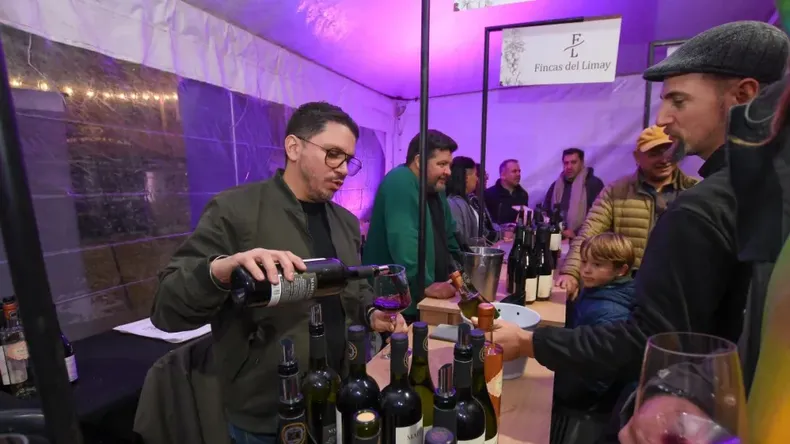 Neuquén sumó la figura de Embajador del Vino a su Sello Gastronómico | LM Neuquen Neuquén sumó la figura de Embajador del Vino a su Sello Gastronómico
