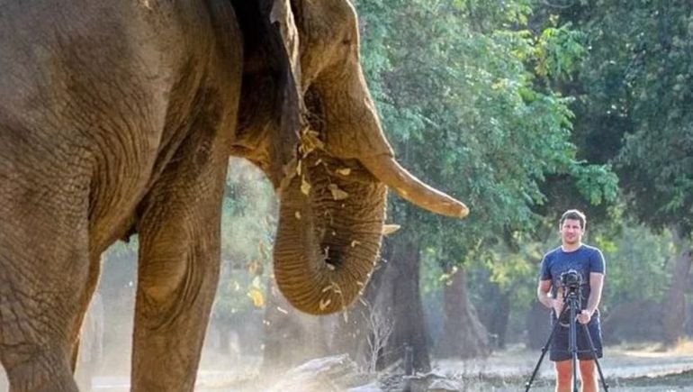Pisoteado por un elefante: así murió el dueño de una reserva natural privada