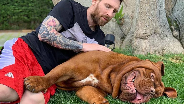 El perro que describió la familia del nene en el balneario es El perro que describió la familia del nene en el balneario es