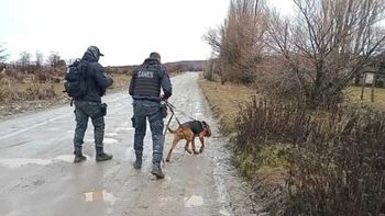 Perros de la policía siguieron rastros desde la casa donde ocurrió el crimen hasta el domicilio del único sospechoso, que está con prisión preventiva. Perros de la policía siguieron rastros desde la casa donde ocurrió el crimen hasta el domicilio del único sospechoso, que está con prisión preventiva.