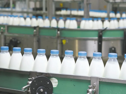 plantas cerradas y salarios adeudados: tension maxima en una industria lactea clave plantas cerradas y salarios adeudados: tension maxima en una industria lactea clave