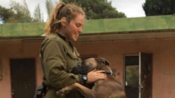 La soldado distribuyó armas a un grupo de personas de su kibtz, con lo que pudieron defenderse y matar a 25 terroristas de Hamas. La soldado distribuyó armas a un grupo de personas de su kibtz, con lo que pudieron defenderse y matar a 25 terroristas de Hamas.