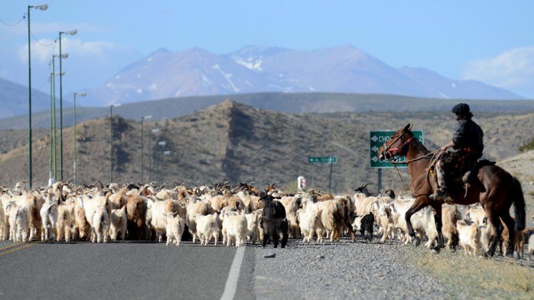 inclusión. Se busca que las familias dedicadas a la agricultura y la crianza de animales sigan en carrera.