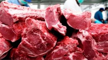 El inicio de 2026 encendió alertas en la cadena ganadera: la actividad cayó con fuerza y la producción no logró sostener los niveles del cierre de 2025. | LM Neuquen El inicio de 2026 encendió alertas en la cadena ganadera: la actividad cayó con fuerza y la producción no logró sostener los niveles del cierre de 2025.