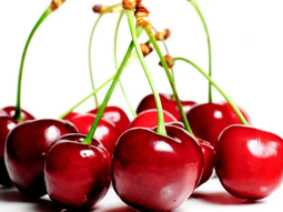 cereza: chile redefine su estrategia comercial para la temporada 2025/26 cereza: chile redefine su estrategia comercial para la temporada 2025/26