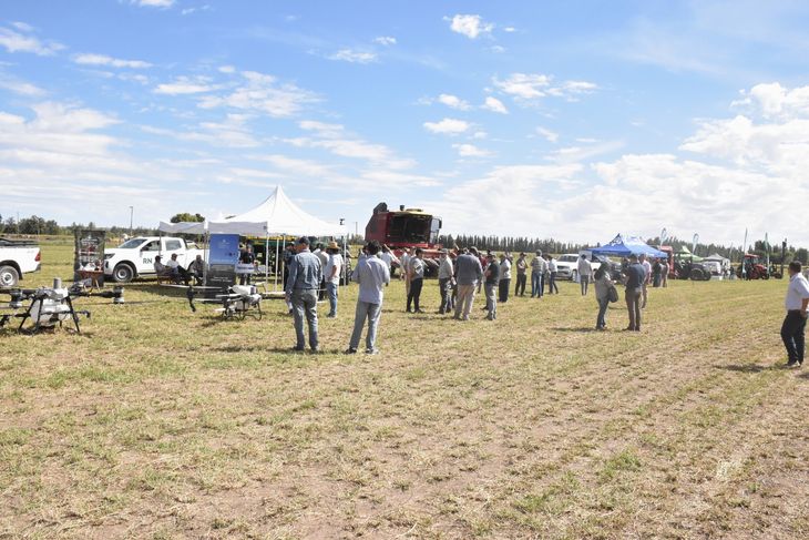 Pasión e inversión: Pasión e inversión: